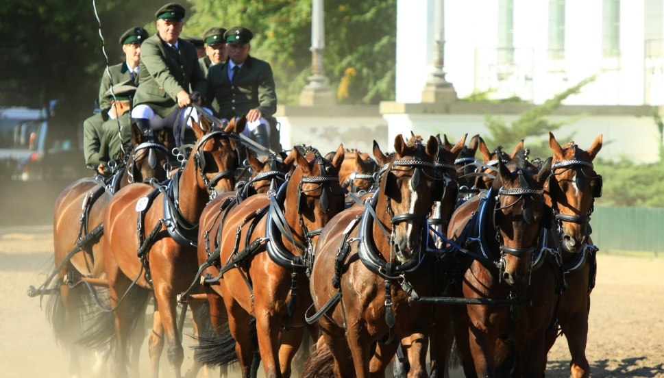&copy; Archiv Landgest&uuml;t Redefin