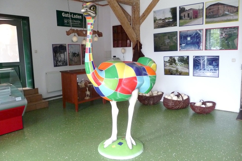 Blick in den Hofladen // &copy; Sabrina Wittkopf-Schade