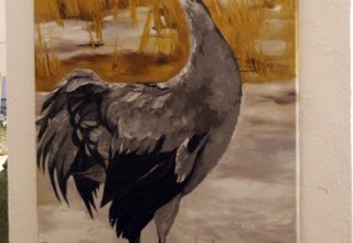 © Anja Gehrke © Anja Gehrke