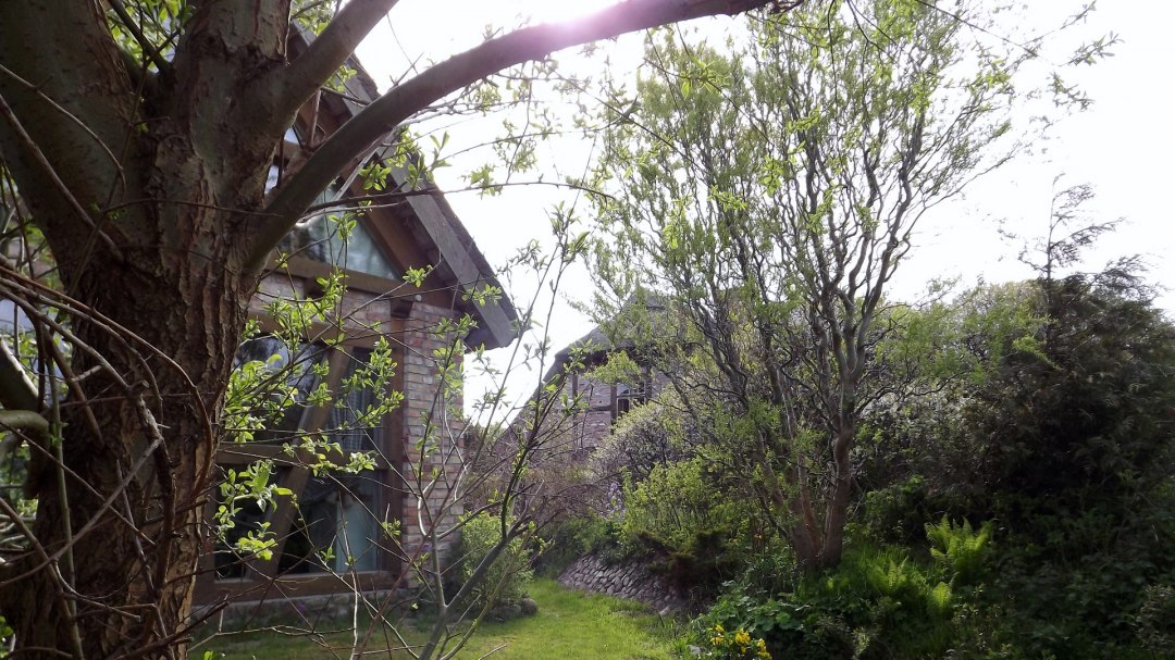 Scheune4, © Natalie S. Scheune4, © Natalie S.