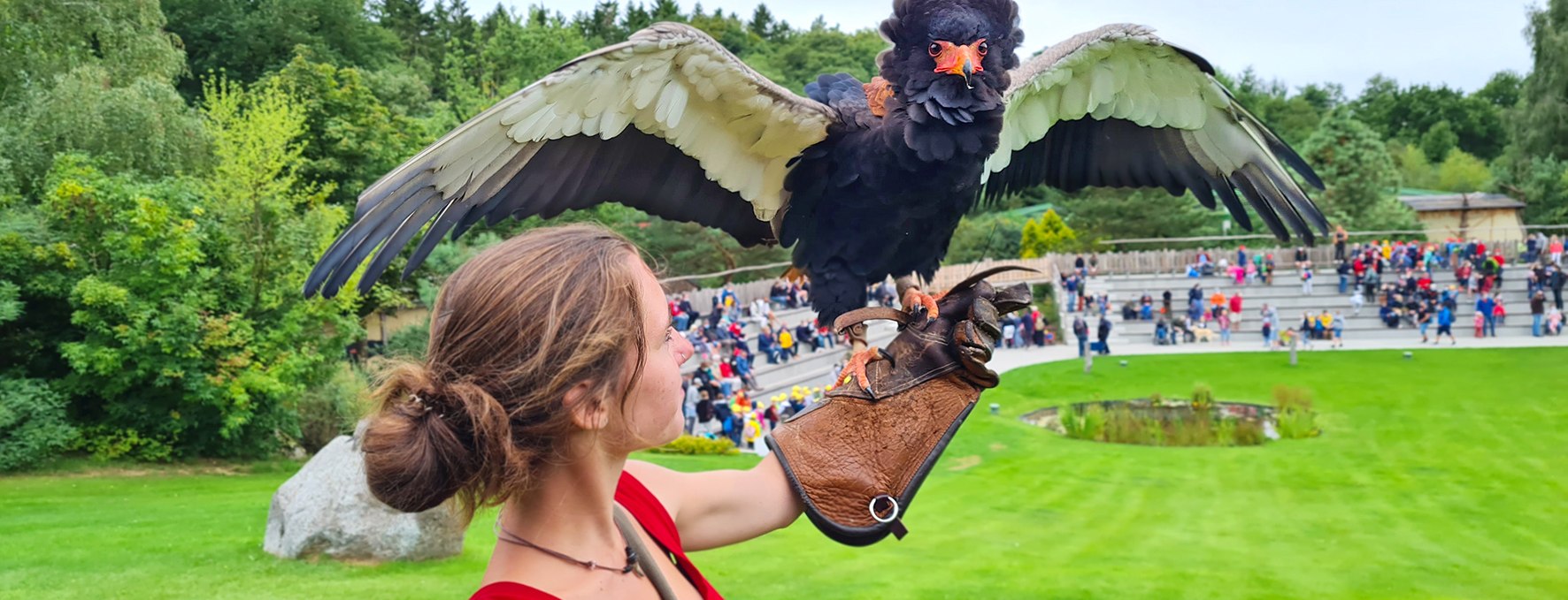 &copy; Vogelpark Marlow