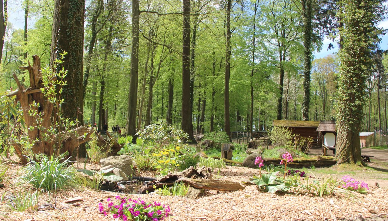 Im Tierpark Wolgast erleben Besucher viele Tiere in idyllischer Natur., © Tierpark Wolgast Im Tierpark Wolgast erleben Besucher viele Tiere in idyllischer Natur., © Tierpark Wolgast