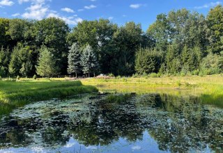 © TZ Südliche Boddenküste