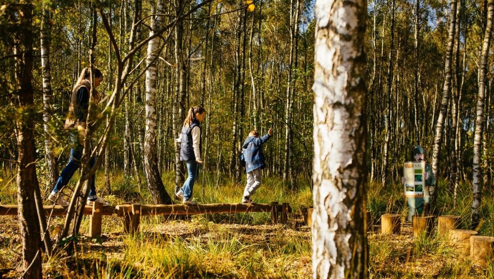 Im Birkenwald können Eltern und Kinder auf einer Balancierstrecke zusammen ihre Geschicklichkeit testen., © TMV/Roth Im Birkenwald können Eltern und Kinder auf einer Balancierstrecke zusammen ihre Geschicklichkeit testen., © TMV/Roth