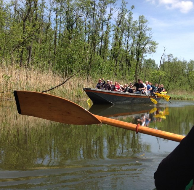 © Dschungelschute © Dschungelschute