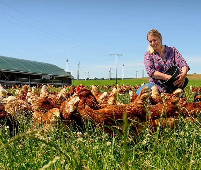 &copy; Holger Martens