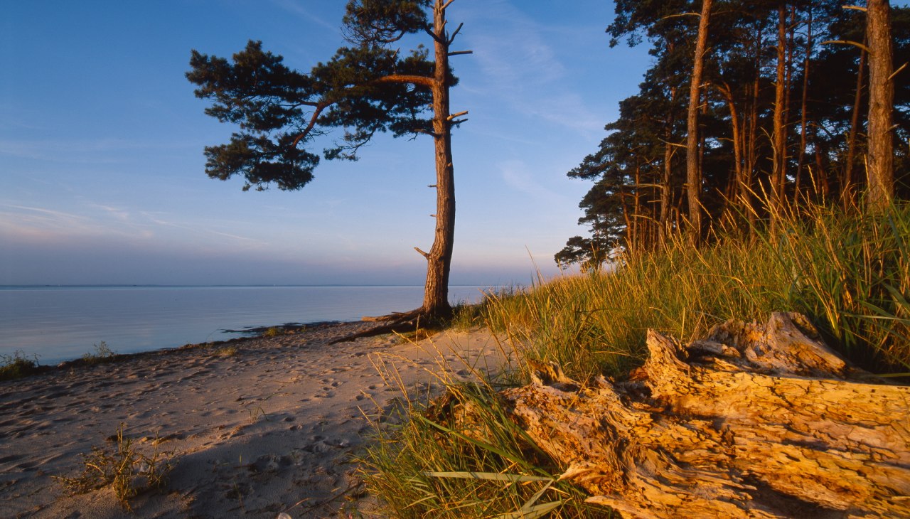 Strand Ludwigsburg in Abendstimmung, © TMV.Thomas Grundner Strand Ludwigsburg in Abendstimmung, © TMV.Thomas Grundner
