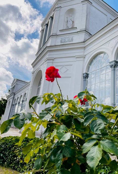 &copy; Putbus