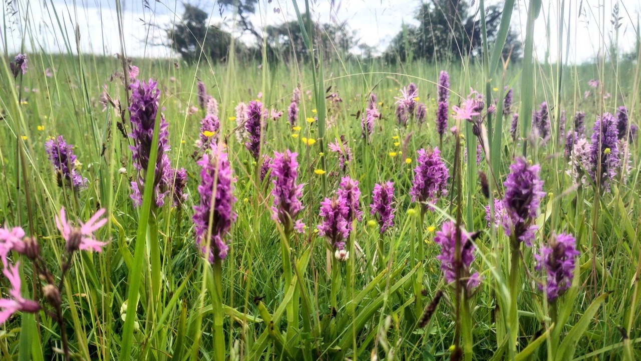 Wanderung zur S&uuml;dspitze Gnitz, &copy; Jana Freitag