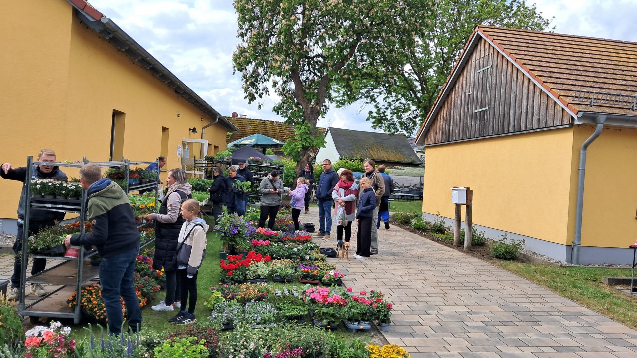 20250518_101409, © Tourismusbetrieb Mönkebude 20250518_101409, © Tourismusbetrieb Mönkebude