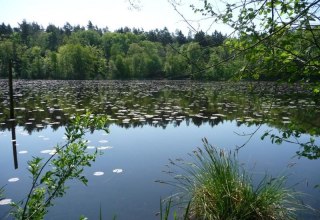 © Martin Neumann © Martin Neumann