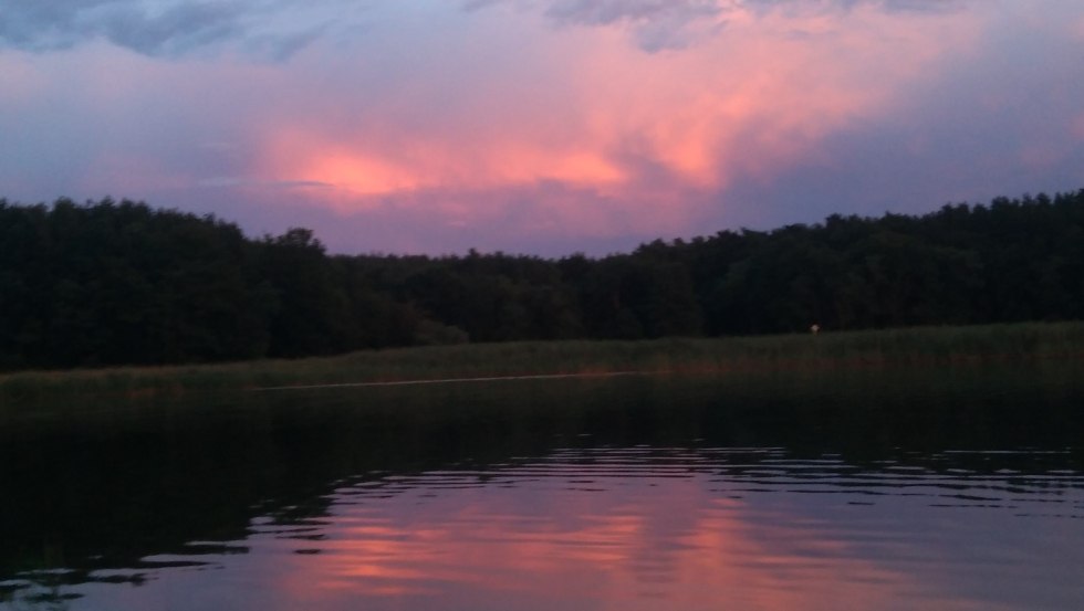 Mit Sonnenuntergang erwachen die Tiere der Nacht, &copy; Sabine G&ouml;rmar