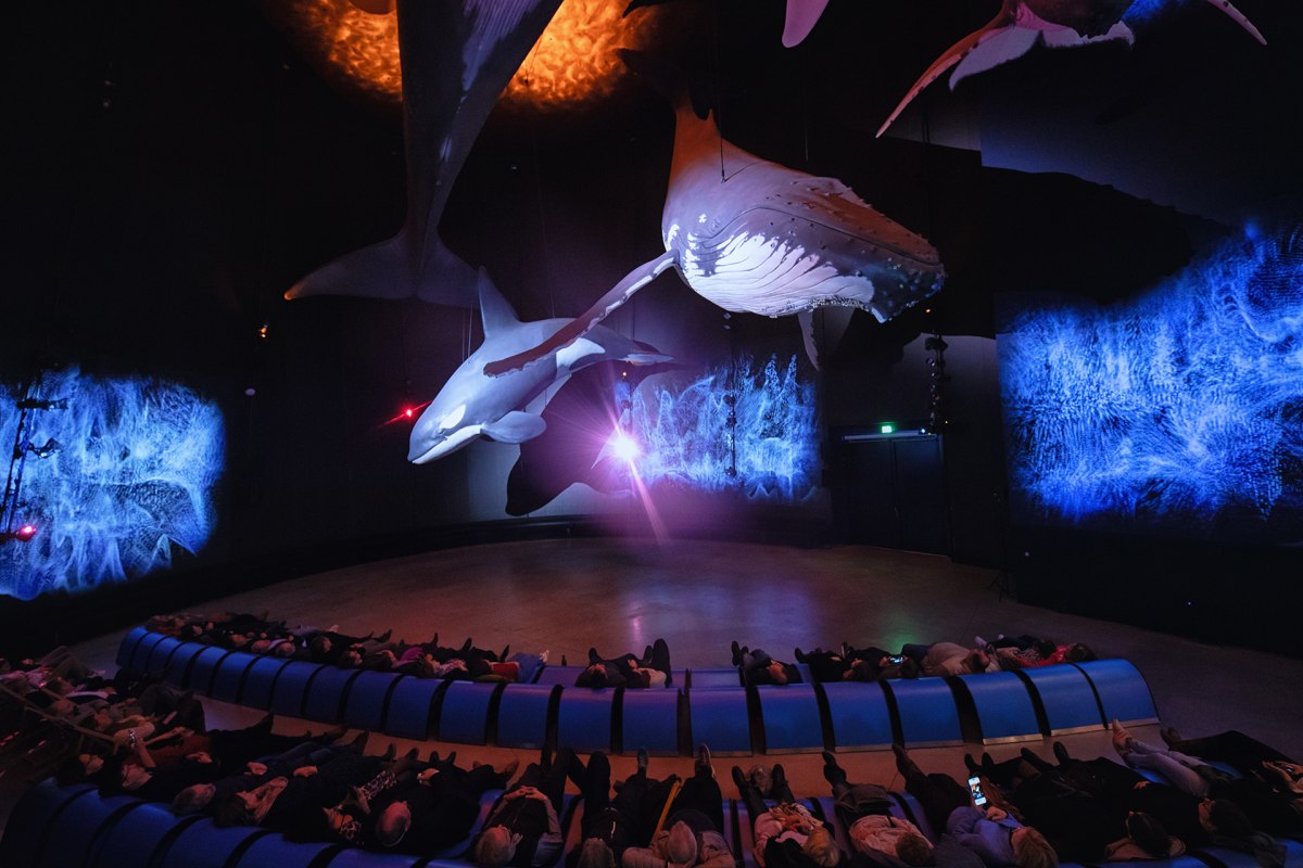 Erlebnisausstellung OZEANEUM, &copy; Anke Neumeister/Deutsches Meeresmuseum