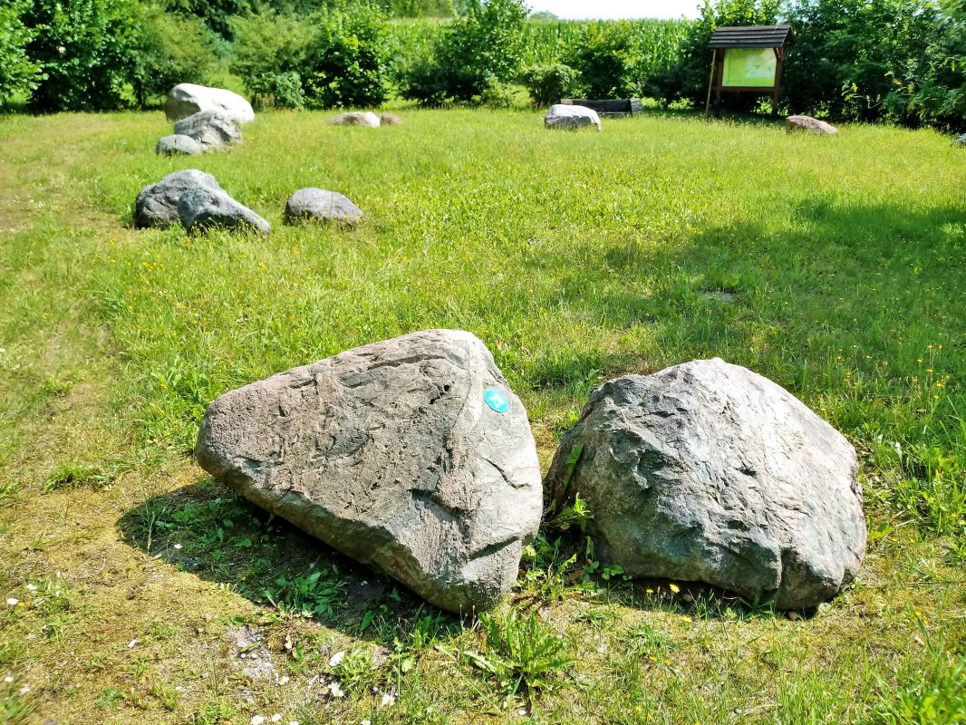 Es gibt 32 Findlinge (aktuell) im Garten. An den Steinen sind Nummern aufgebracht und eine Tafel erklärt Ihnen Anhand der Nummer, um was für einen Stein es sich handelt. // © Wolfgang Mamat Es gibt 32 Findlinge (aktuell) im Garten. An den Steinen sind Nummern aufgebracht und eine Tafel erklärt Ihnen Anhand der Nummer, um was für einen Stein es sich handelt. // © Wolfgang Mamat