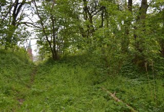 Blick vom Burginneren &uuml;ber den Wall zur Pantlitzer Kirche // &copy; Lutz Werner