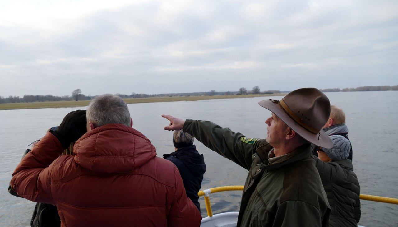 Vogels kijken met de ranger op de Elbe, © Biosphärenreservatsamt Schaalsee-Elbe Vogels kijken met de ranger op de Elbe, © Biosphärenreservatsamt Schaalsee-Elbe