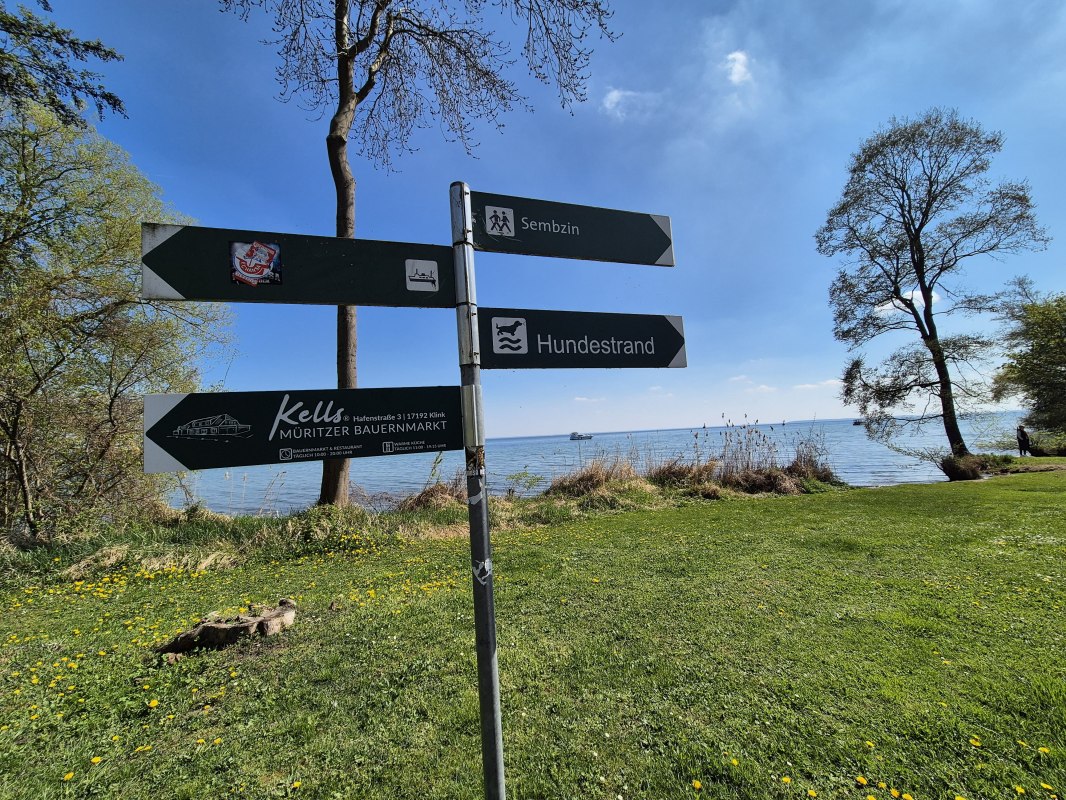 &copy; Gina Schulenberg