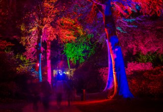 »Nachts im Park« — ein entspanntes Lichtkunst-Event // © André Pristaff / Tourismus- und Kur GmbH Graal-Müritz »Nachts im Park« — ein entspanntes Lichtkunst-Event // © André Pristaff / Tourismus- und Kur GmbH Graal-Müritz