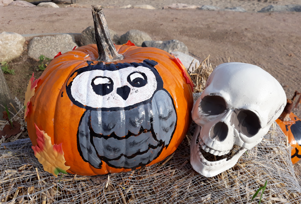 Halloween im Park, © minimare der Entdeckerpark Halloween im Park, © minimare der Entdeckerpark