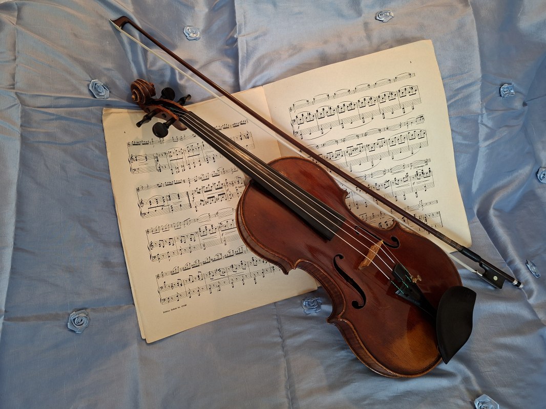 © Schönberger Musik und Kunst e.V. © Schönberger Musik und Kunst e.V.