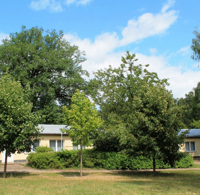 &copy; KiEZ Prebelow