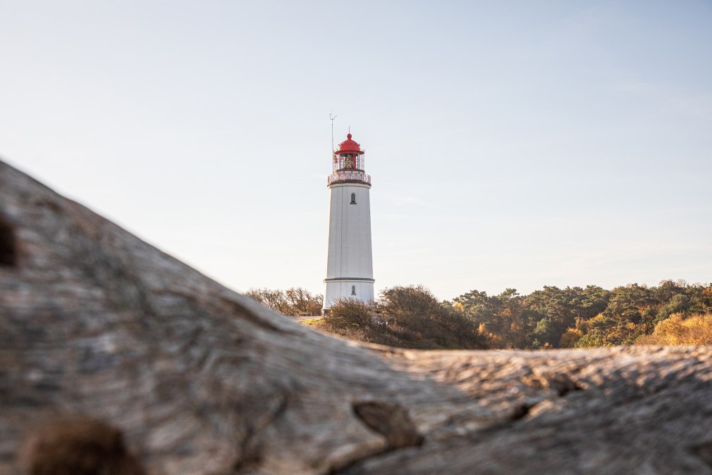 Insel Hiddensee erleben, © Weiße Flotte GmbH