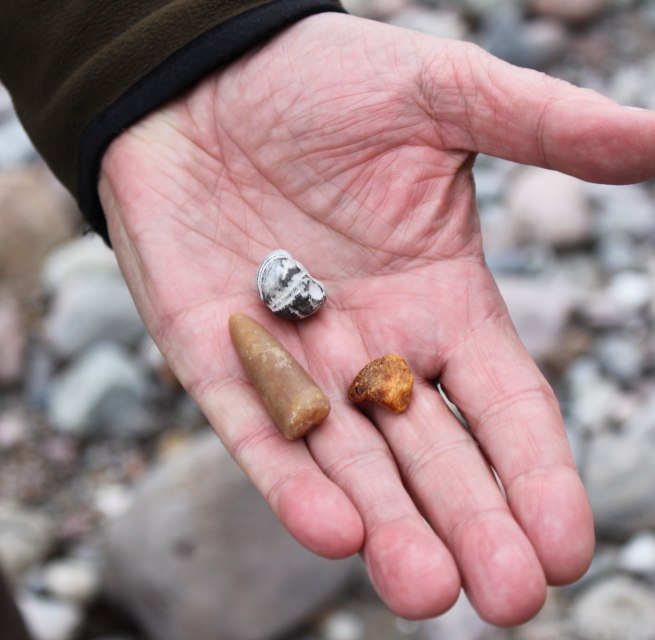 &copy; Biosph&auml;renreservat S&uuml;dost-R&uuml;gen
