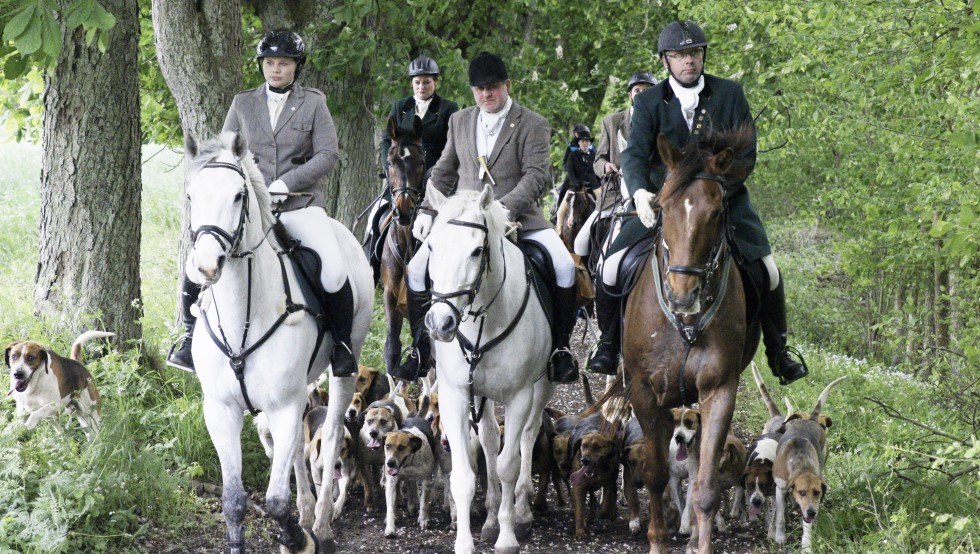 Schleppjagen mit der Mecklenburger Meute, &copy; Mecklenburger Meute/ Martina Rodenberg