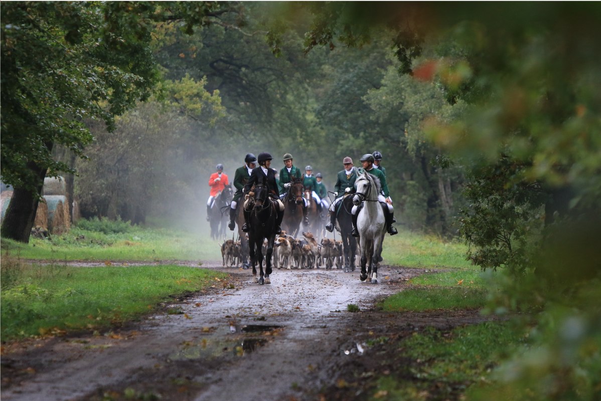 &copy; Sven F&ouml;rst