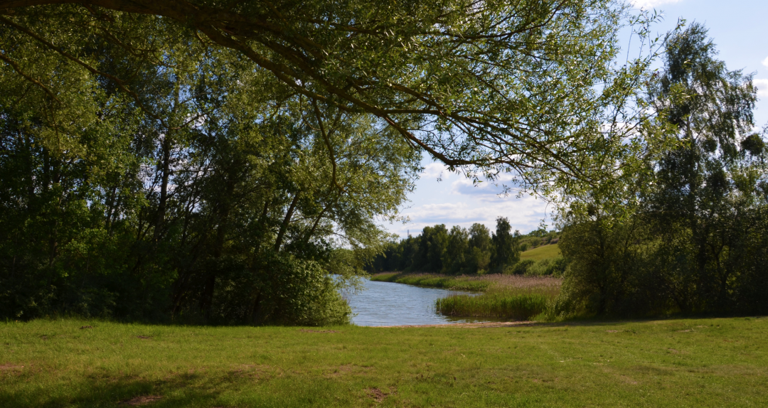 Cantnitzer See Badestelle Nordufer 4, © Martin Möller