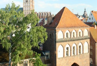 © pixelio.de / Luczyk