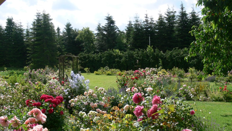 Ein Blick in den Rosengarten // &copy; Rosentau-Keramik/Rehfeld