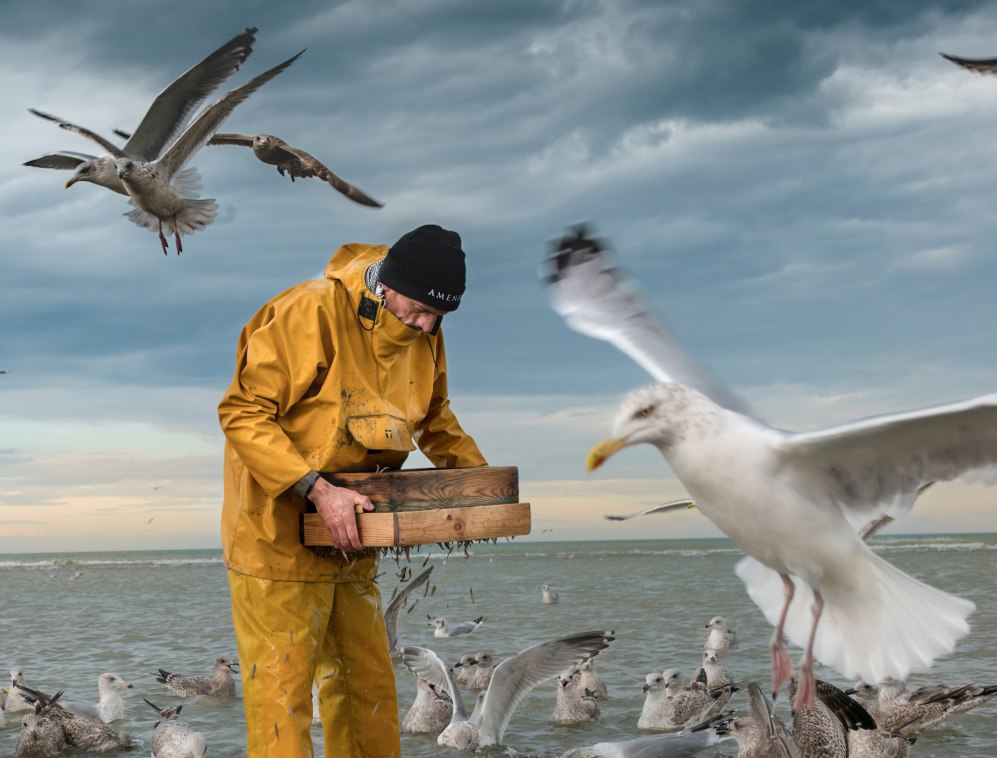 &copy; Rolf Nobel