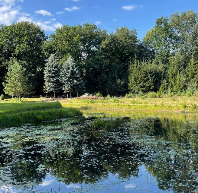 © TZ Südliche Boddenküste