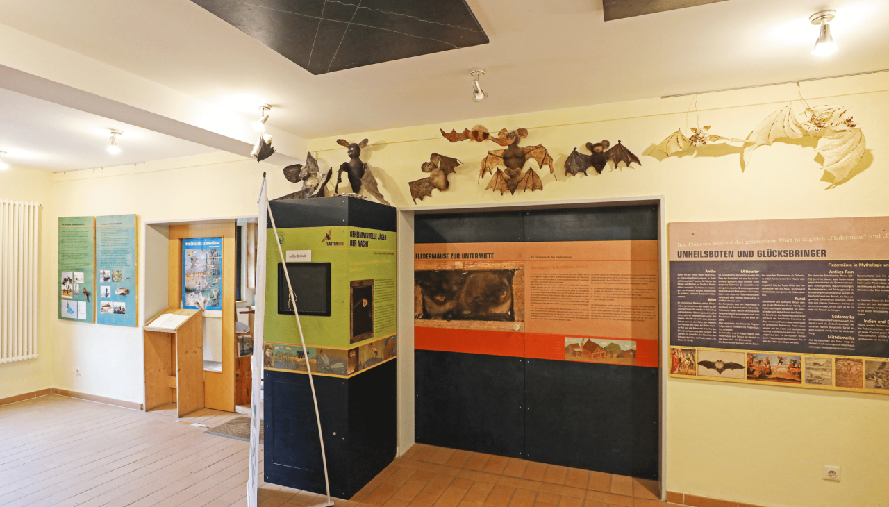 Nationalpark-Information "Flatterhus Kratzeburg, &copy; TMV/Gohlke