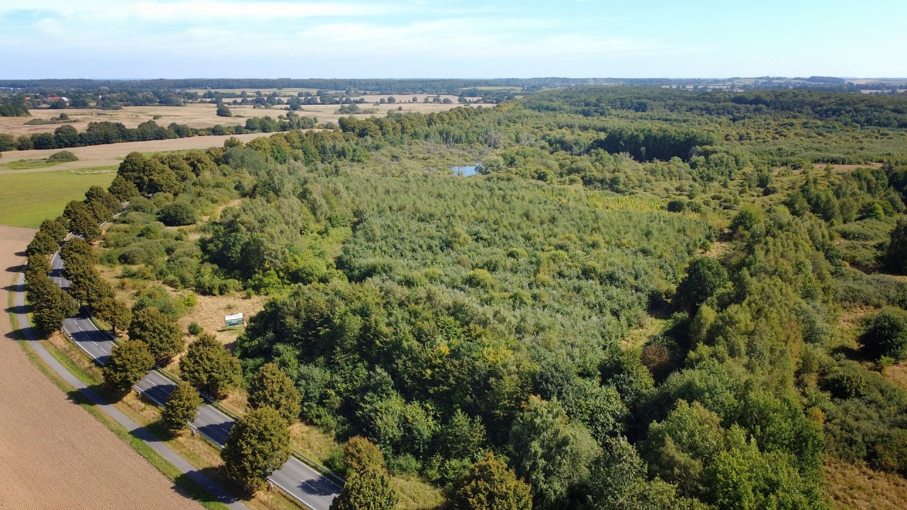 Klimawald Biosph&auml;renreservat Schaalsee // &copy; Landesforst MV
