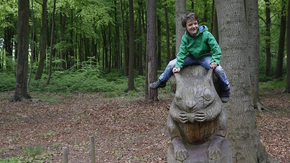 Das "Grüne Klassenzimmer" // © MV-T/outdoor-visions.com Das "Grüne Klassenzimmer" // © MV-T/outdoor-visions.com