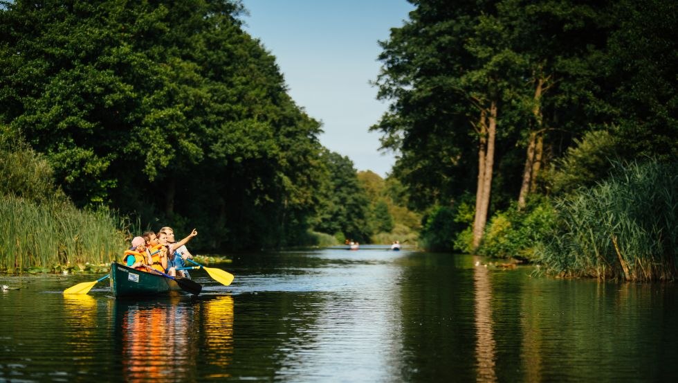 Genau hinschauen lohnt sich: Im M&uuml;ritz-Nationalpark sind seltene Tier- und Pflanzenarten zu beobachten // &copy; MV-T/Roth