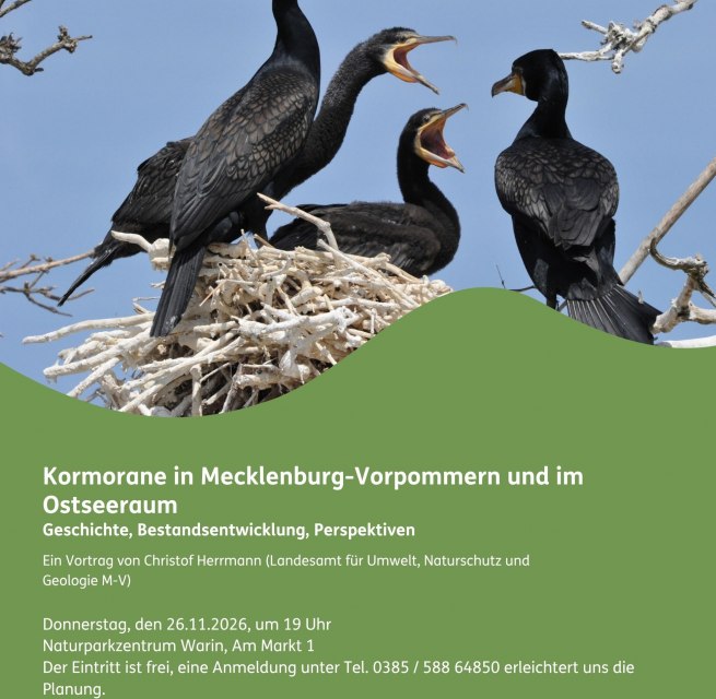 Plakat Kormoranvortrag // &copy; Naturpark Sternberger Seenland