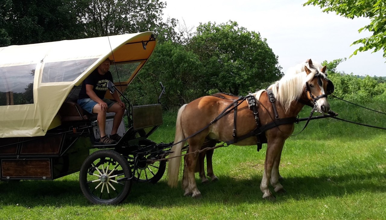 Garantiert ein Erlebnis für Jung und Alt, © Katrin Krüger Garantiert ein Erlebnis für Jung und Alt, © Katrin Krüger