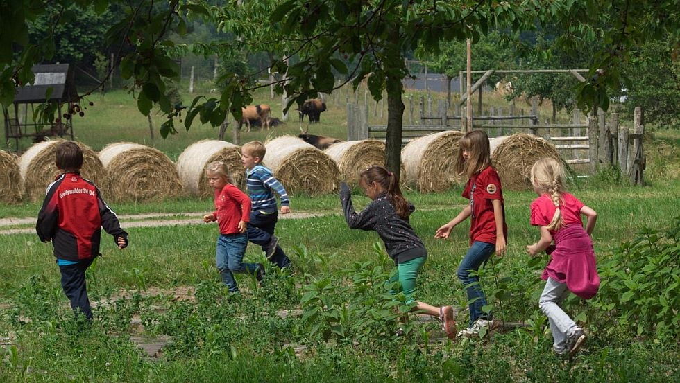Plezier en spelletjes op kinderdag, © Naturerlebnispark Gristow Plezier en spelletjes op kinderdag, © Naturerlebnispark Gristow