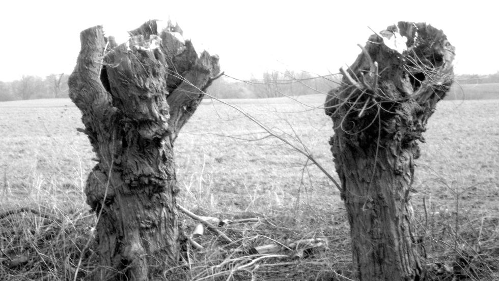 © Uwe Kurzbein © Uwe Kurzbein