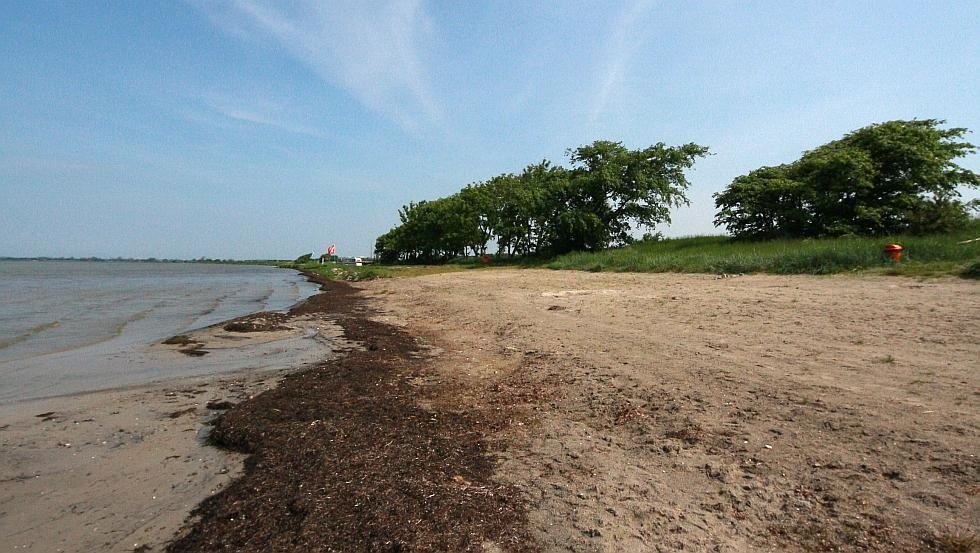 Schaproder Bodden // &copy; surflocal.de