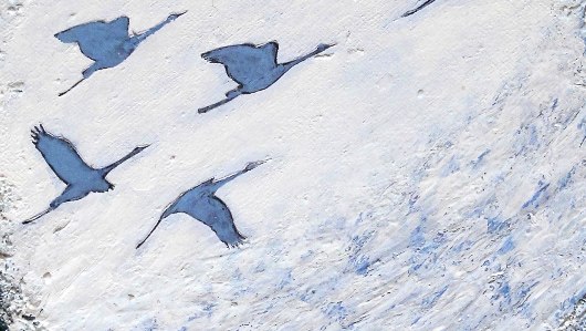 &copy; Marlies Leonhardt