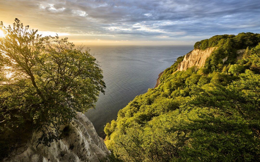 Vom Skywalk K&ouml;nigsstuhl bei Sassnitz schweift der Blick &uuml;ber leuchtende Kreidefelsen und die weite Ostsee. Buchenwald rahmt die hellen Klippen ein, w&auml;hrend das Licht durch dramatische Wolken bricht &ndash; ein Naturschauspiel auf R&uuml;gen, das in Erinnerung bleibt. // &copy; Florian Trykowski