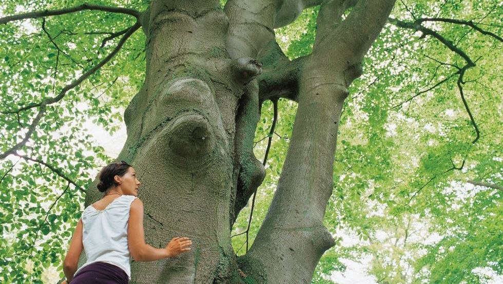 In contact met de natuur // &copy; TMV/Werk3