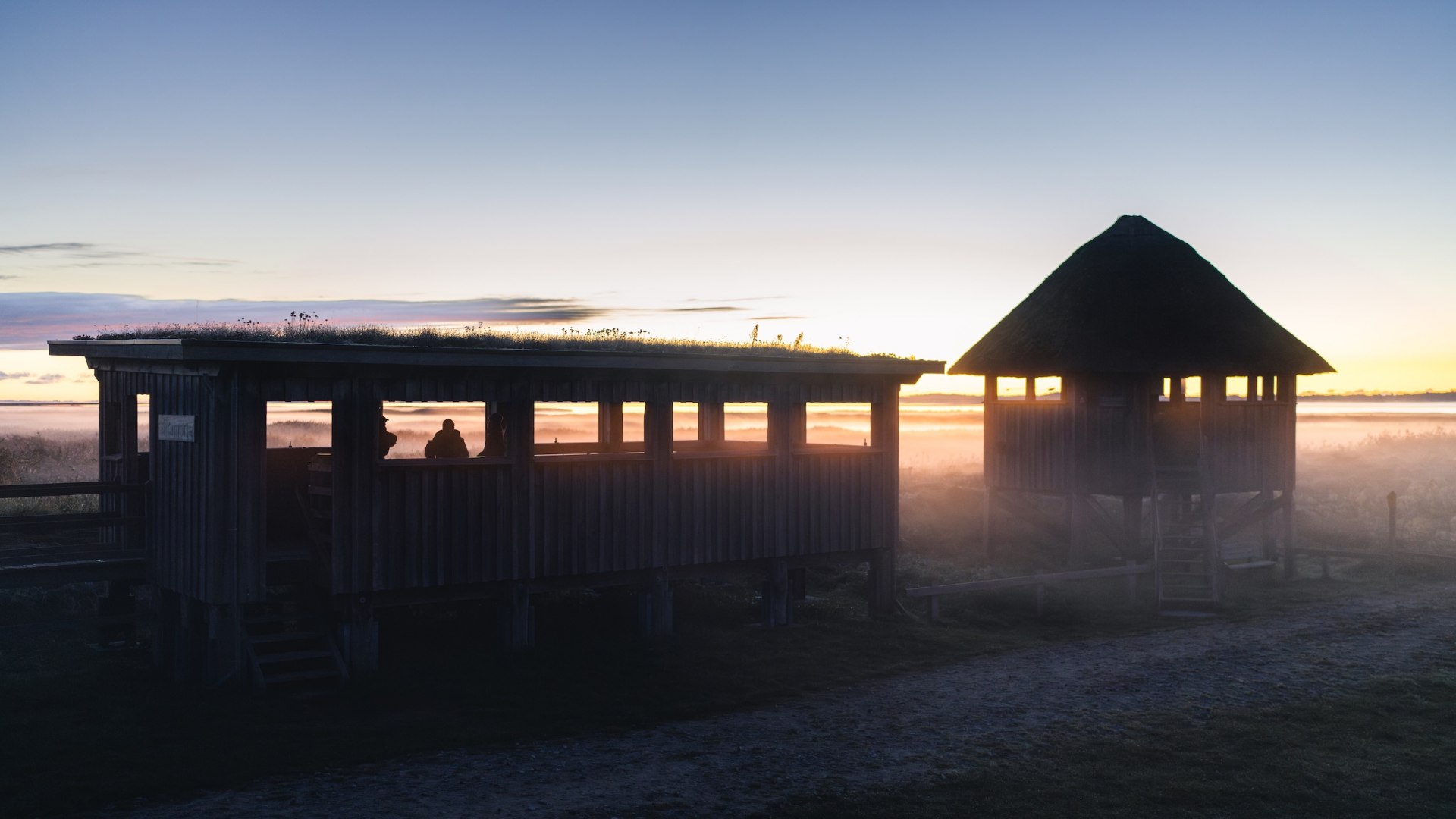Udsigtsplatformen Pramort ved Zingst i nationalparken Vorpommersche Boddenlandschaft ved daggry.