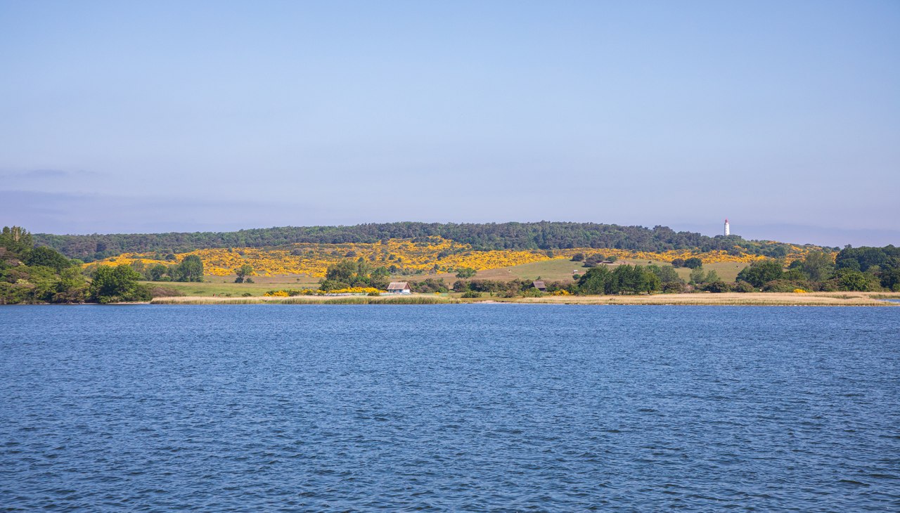 Reederei-Hiddensee-Insel-Hiddensee-002-1, &copy; Wei&szlig;e Flotte