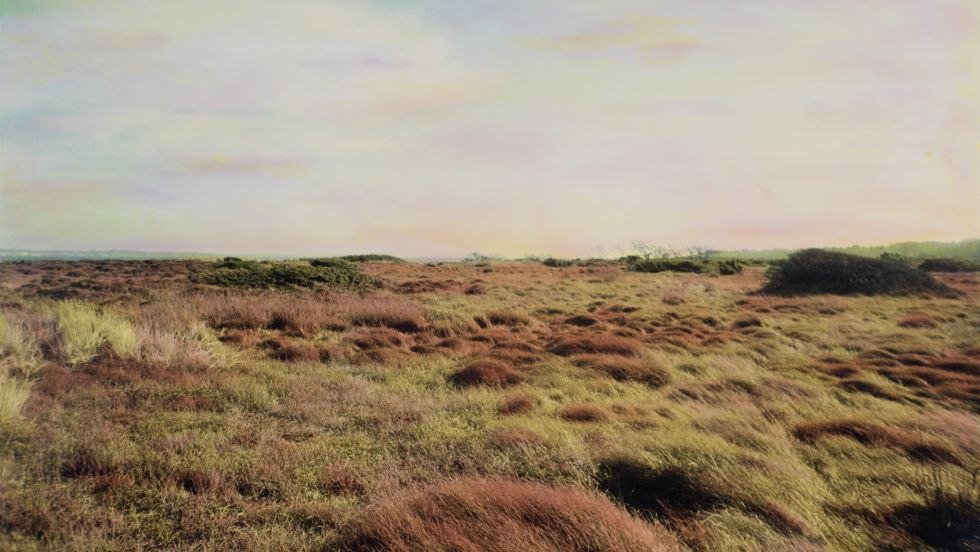 Landschaft der liebenden Natur, &copy; Tim Steingens
