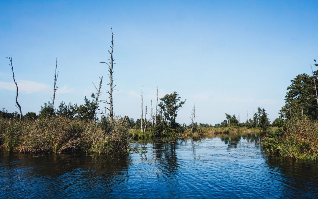 Bei der Kanufahrt auf der Peene l&auml;sst sich die Natur in vollen Z&uuml;gen genie&szlig;en // &copy; MV-T/WorldonaBudget